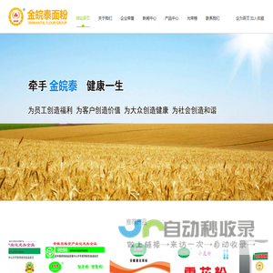 安徽金皖泰面粉有限公司