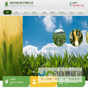 德州市德农种子有限公司 丨玉米种丨棉花种丨小麦种
